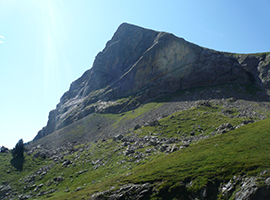 Rincón de los Pirineos Aragoneses